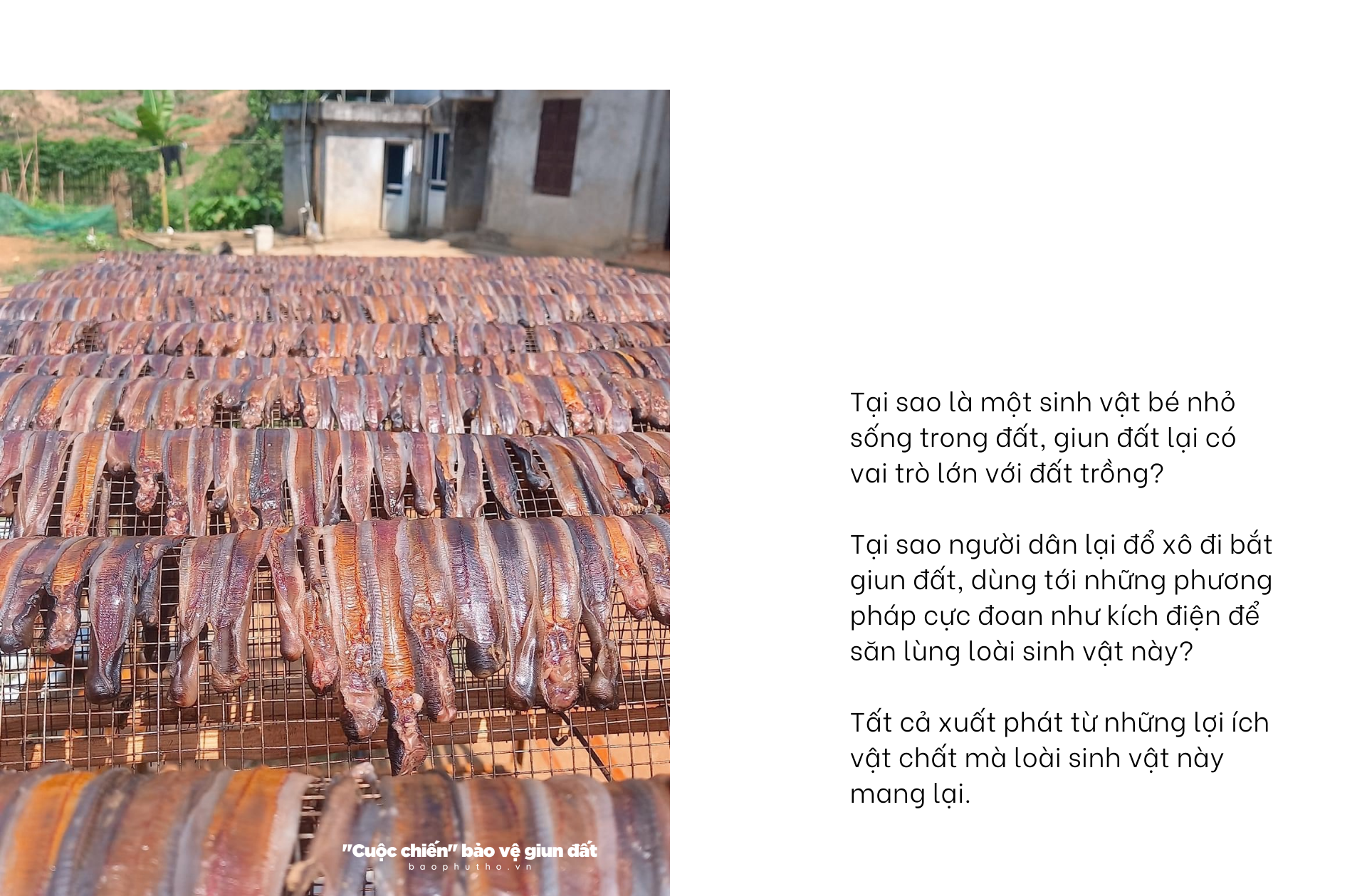 Kỳ 2: Bỏ “lợi ích” lấy “lợi nhuận” ?