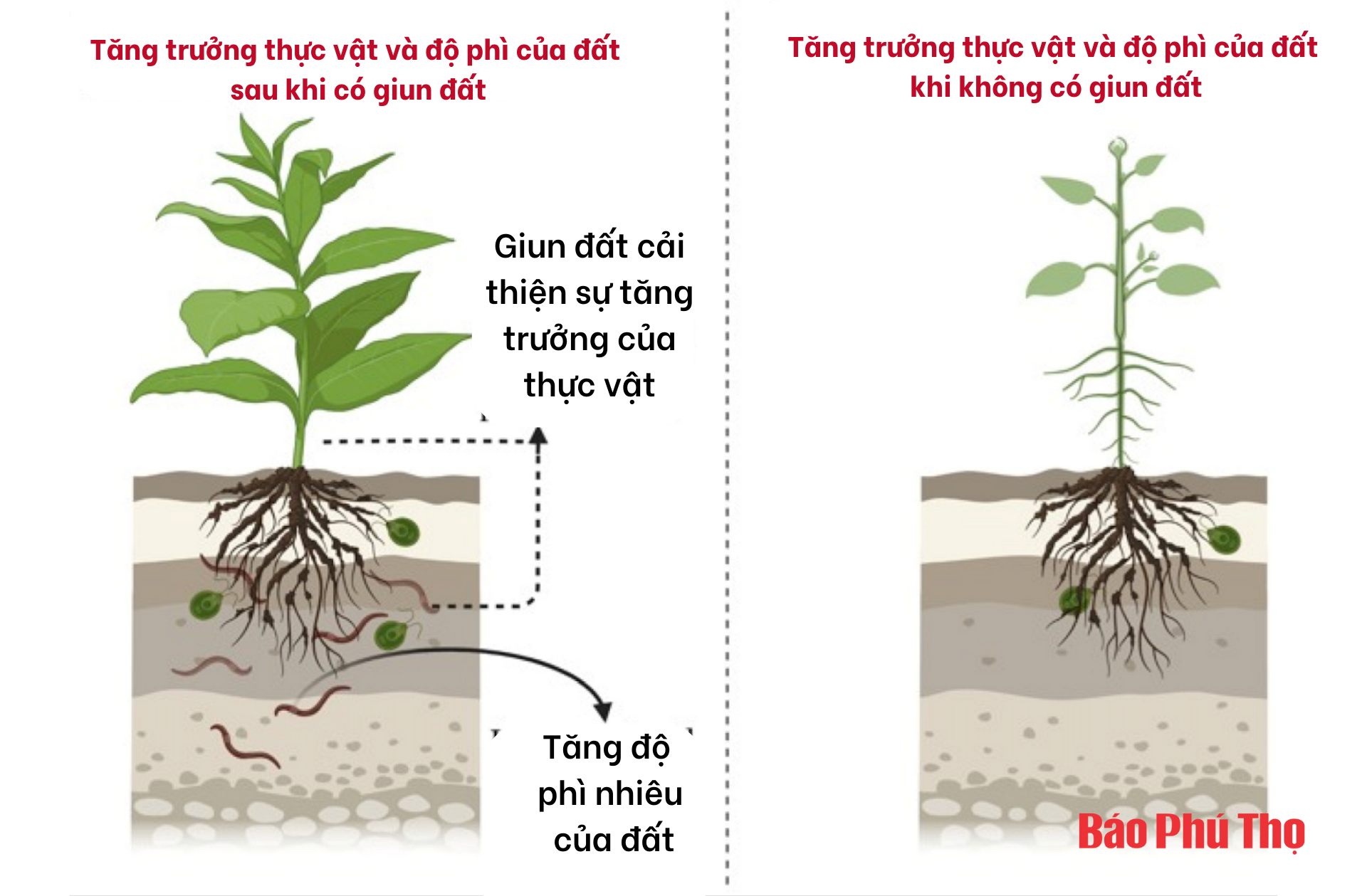 Kỳ 2: Bỏ “lợi ích” lấy “lợi nhuận” ?