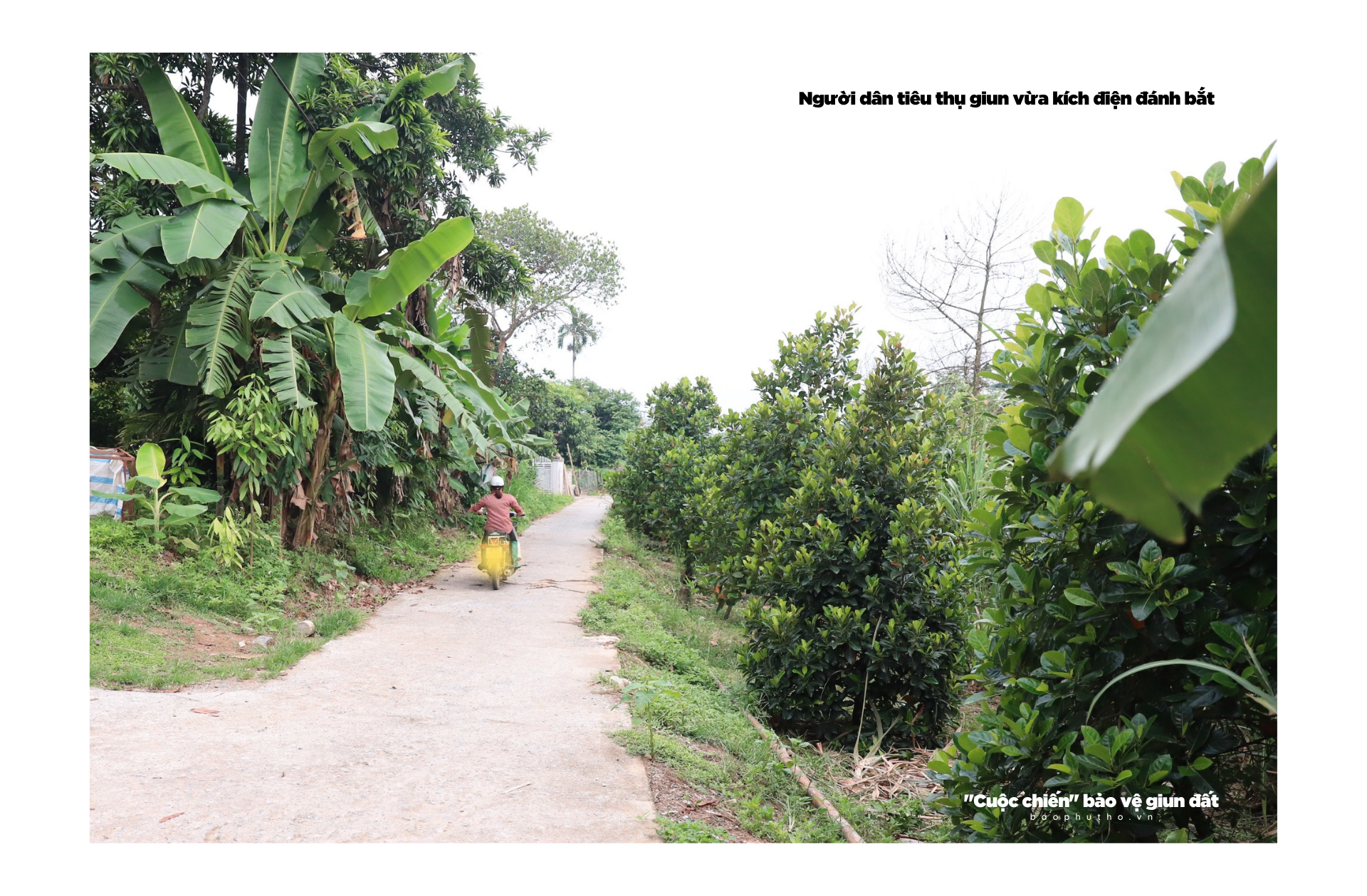 Kỳ 2: Bỏ “lợi ích” lấy “lợi nhuận” ?