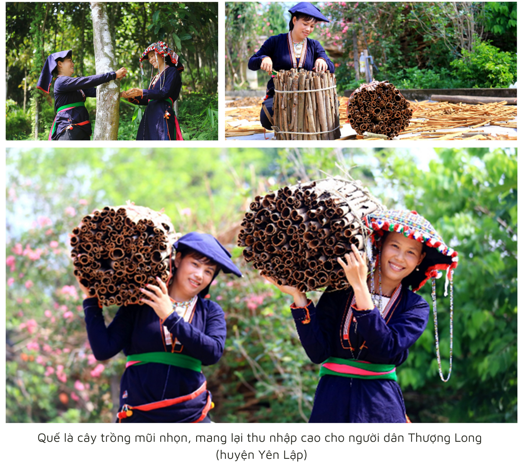 Kỳ II: Nghị quyết “Khoán” rừng