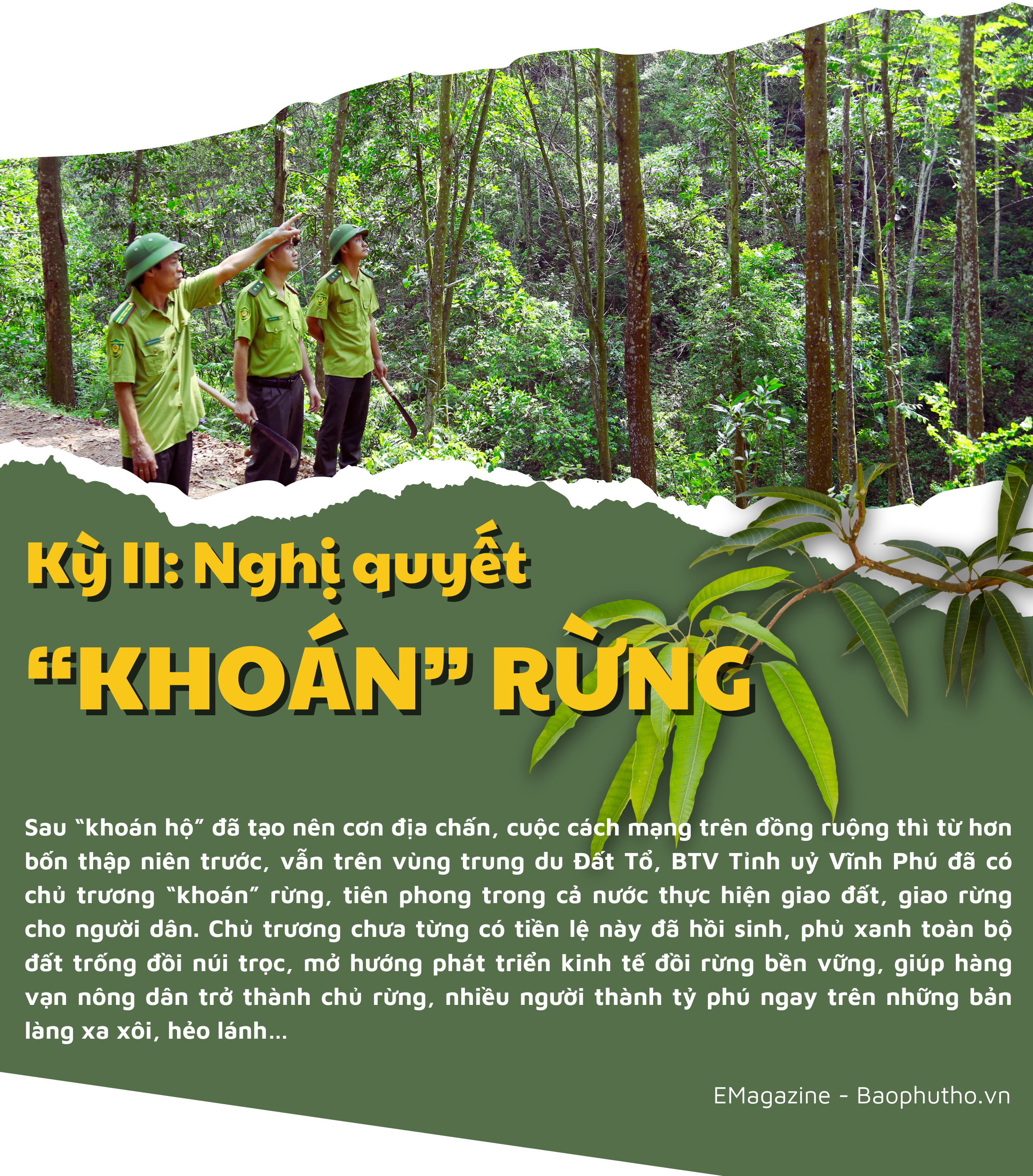 Kỳ II: Nghị quyết “Khoán” rừng