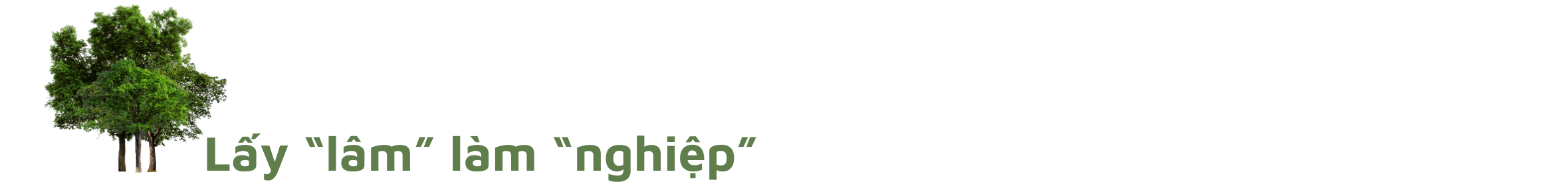 Kỳ II: Nghị quyết “Khoán” rừng