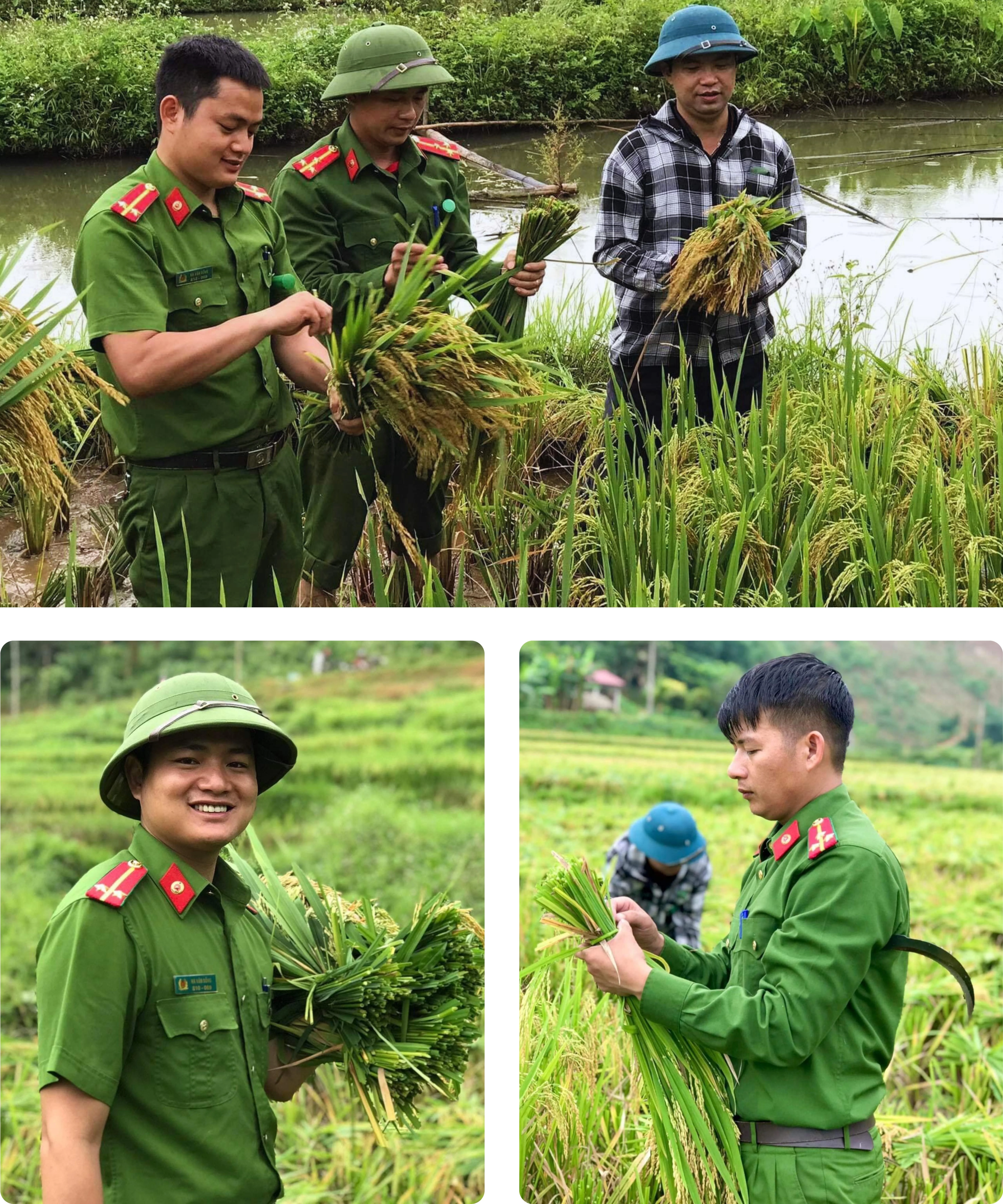 Kỳ 2: Lấy cái đẹp, dẹp cái xấu