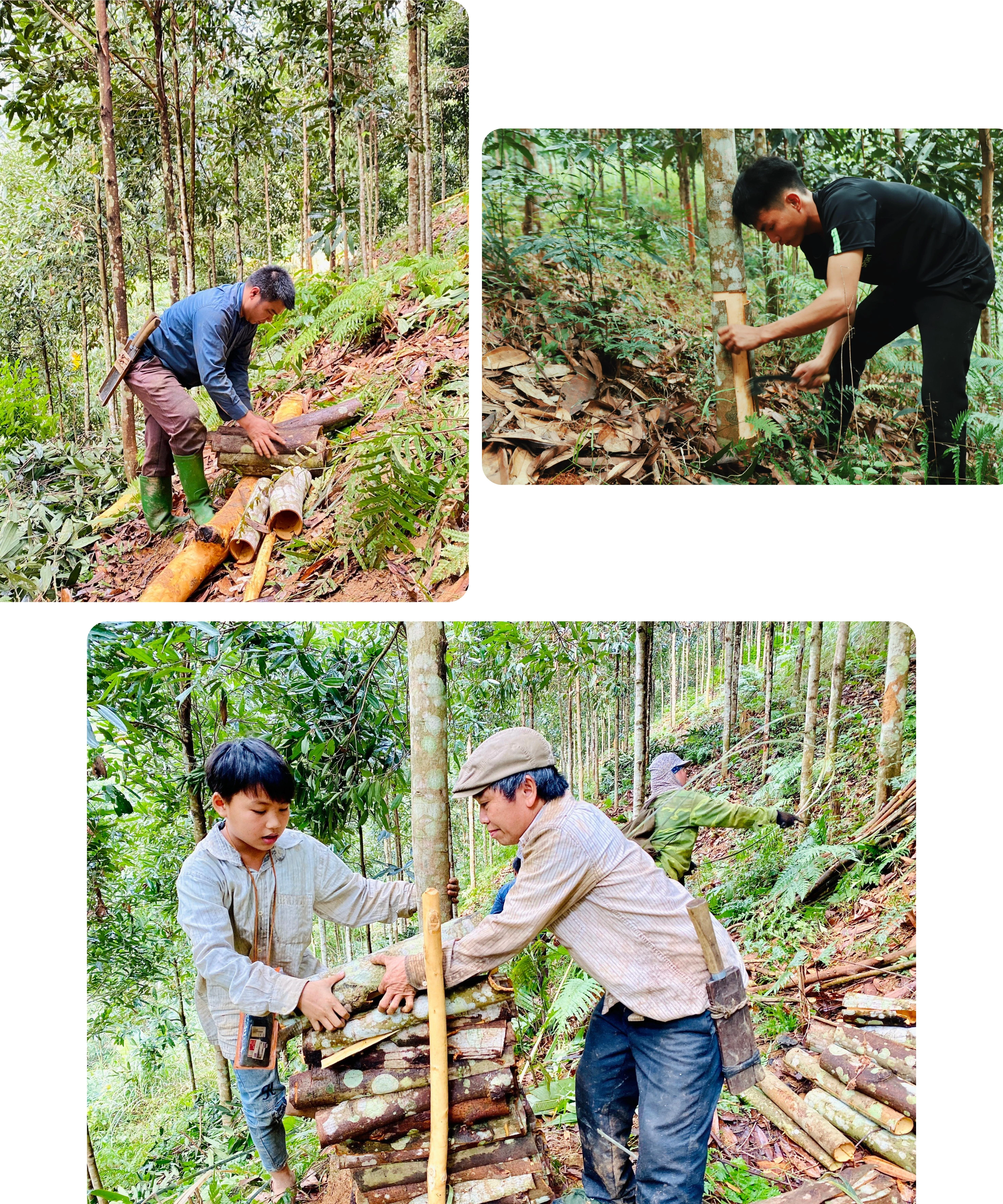 Kỳ 3: Chủ trương đúng, trúng lòng dân