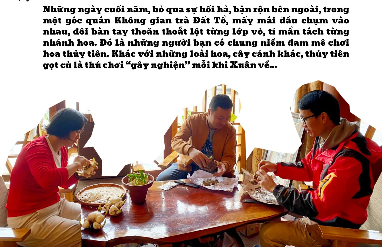 Xuân về bên đóa thủy tiên