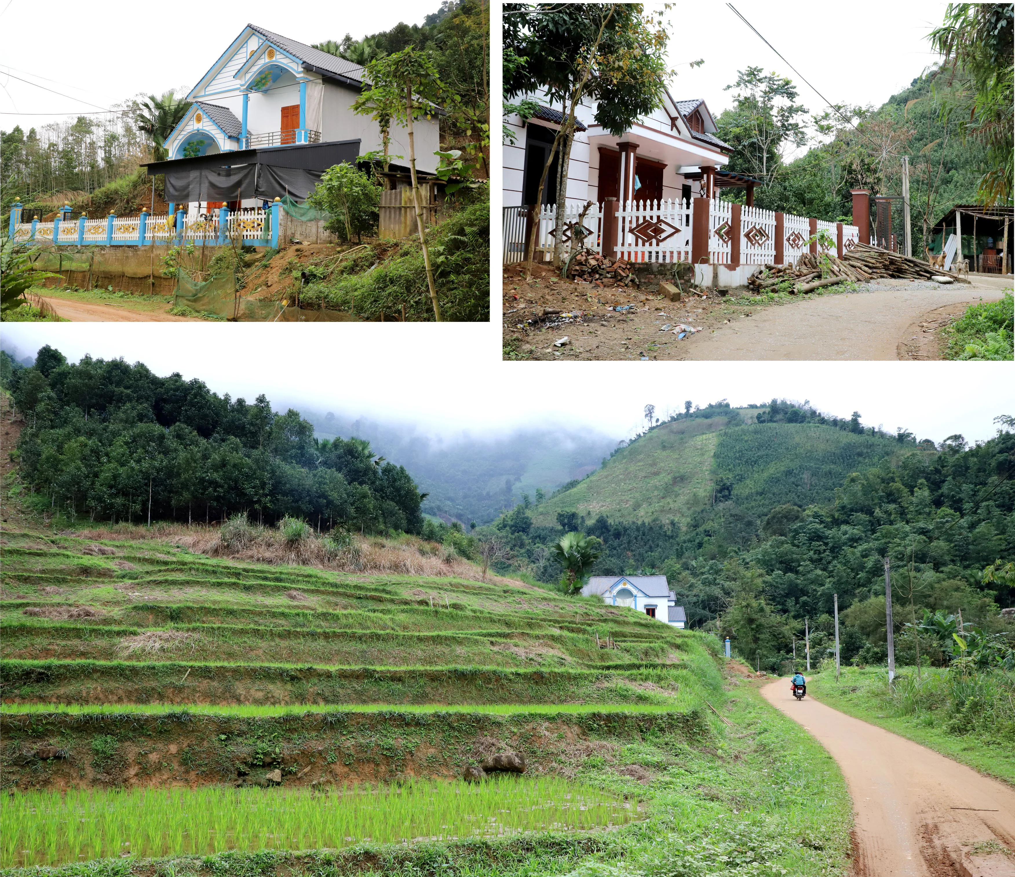 Trung Sơn đi lên từ khó khăn