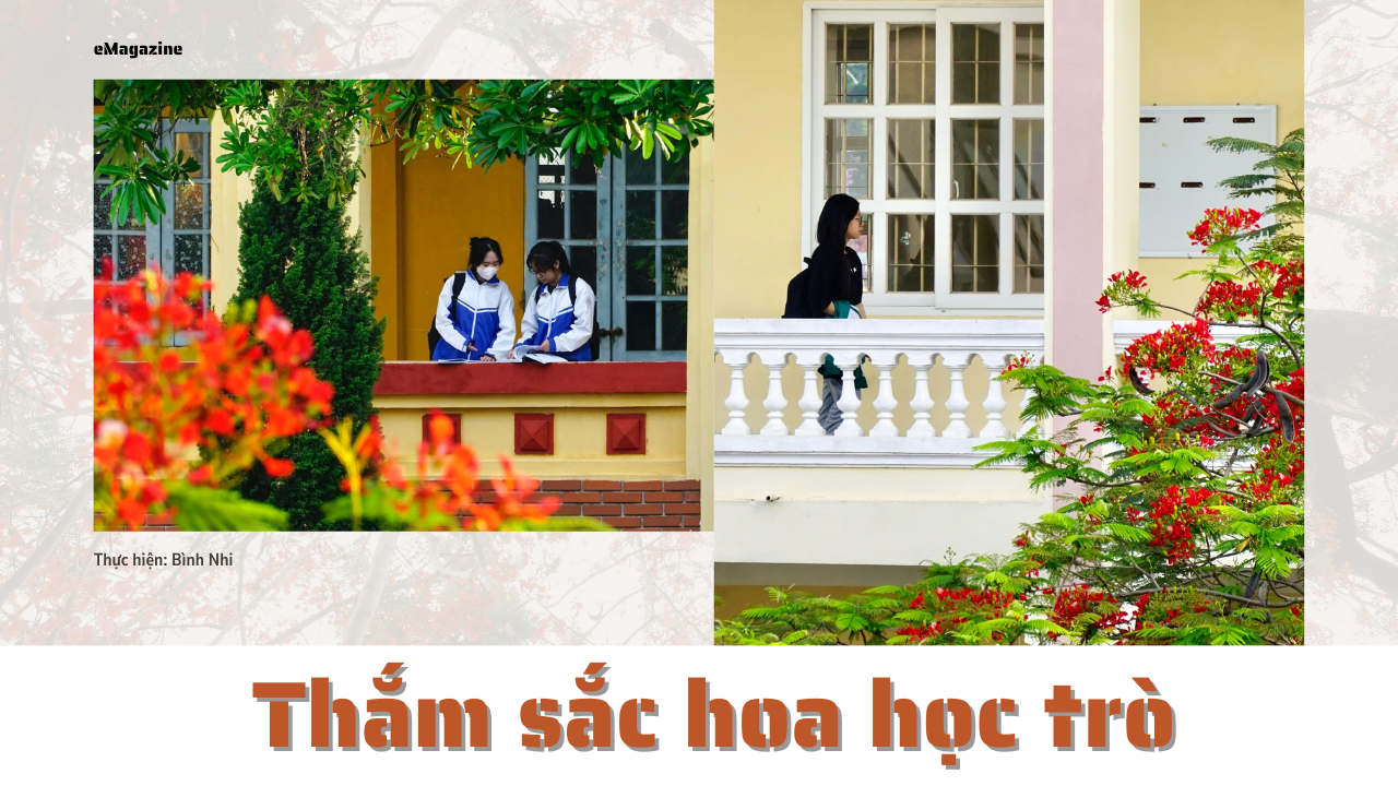 Thắm sắc hoa học trò