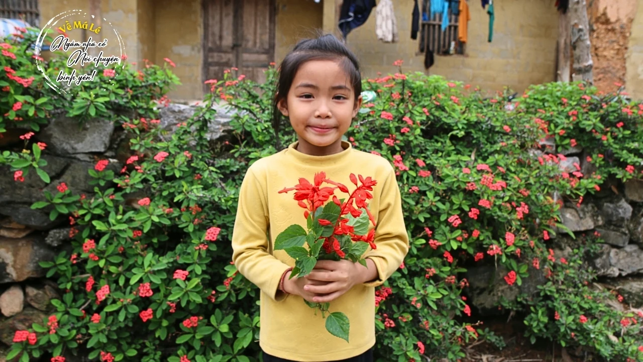 Về Má Lé, ngắm nhà cổ, nói chuyện bình yên