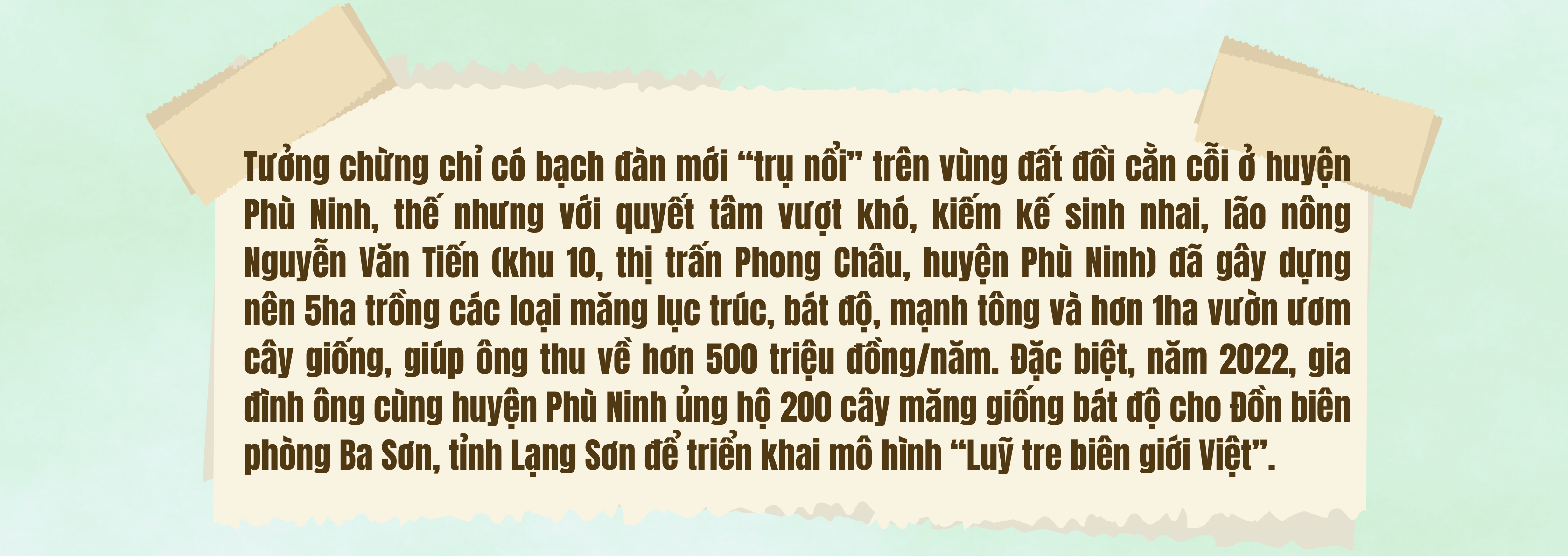 Người góp vành đai xanh “Luỹ tre biên giới Việt”