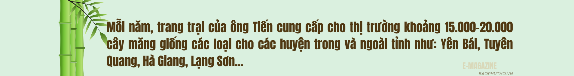 Người góp vành đai xanh “Luỹ tre biên giới Việt”