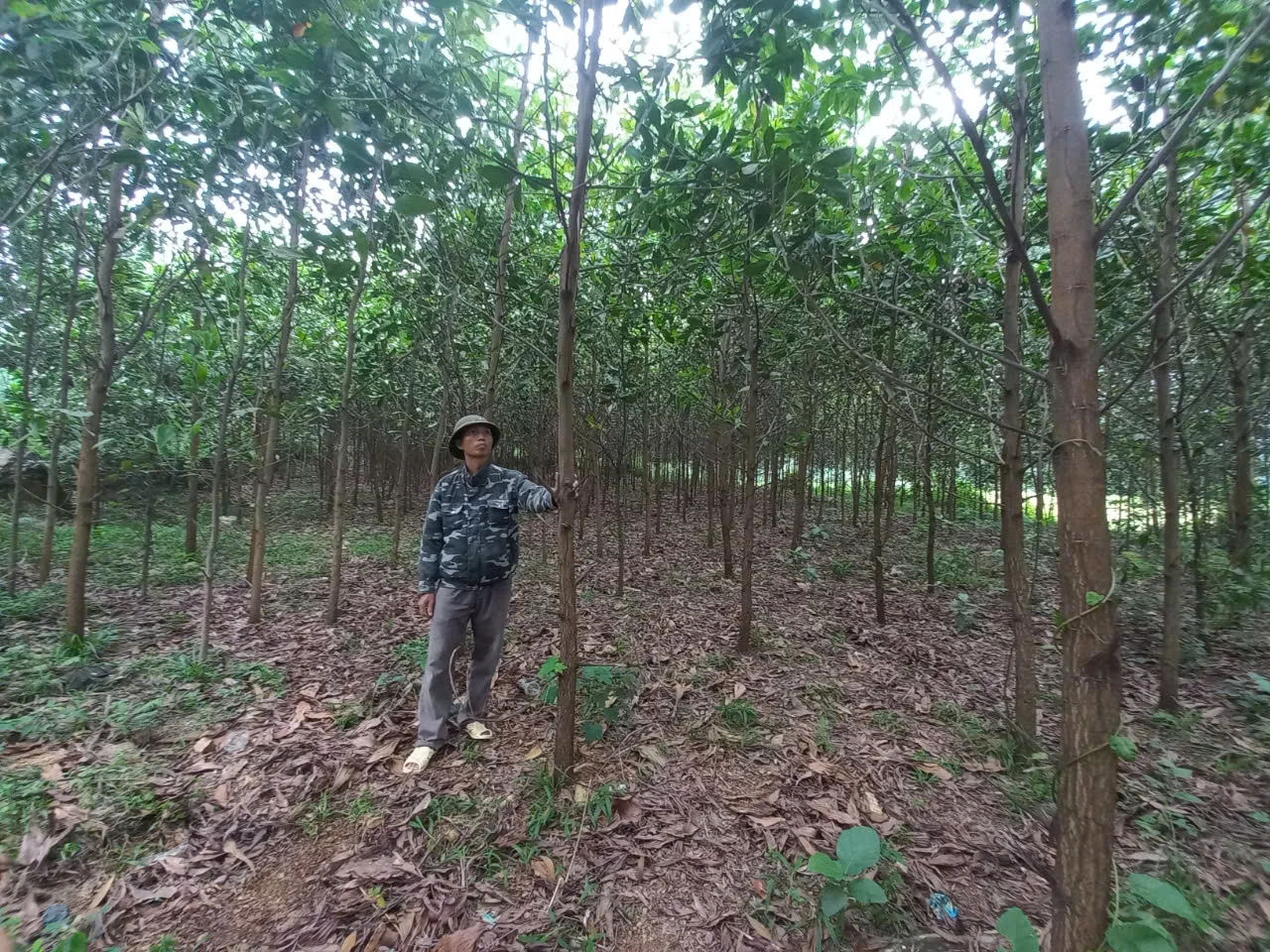 Tập trung giảm nghèo bền vững