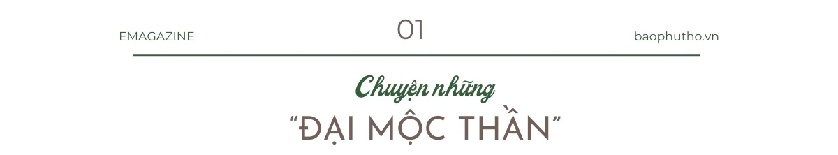 “Cây thiêng” trên đất cội nguồn Kỳ I: Những nhân chứng của lịch sử