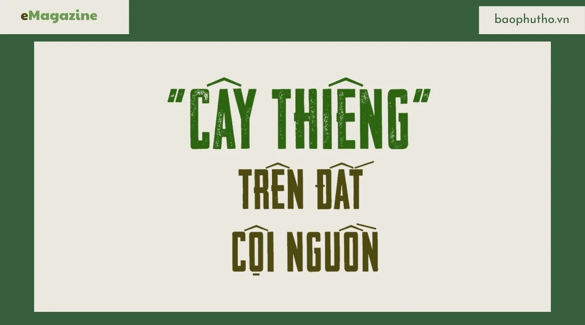 Kỳ II: Đã vinh danh phải... hữu danh!