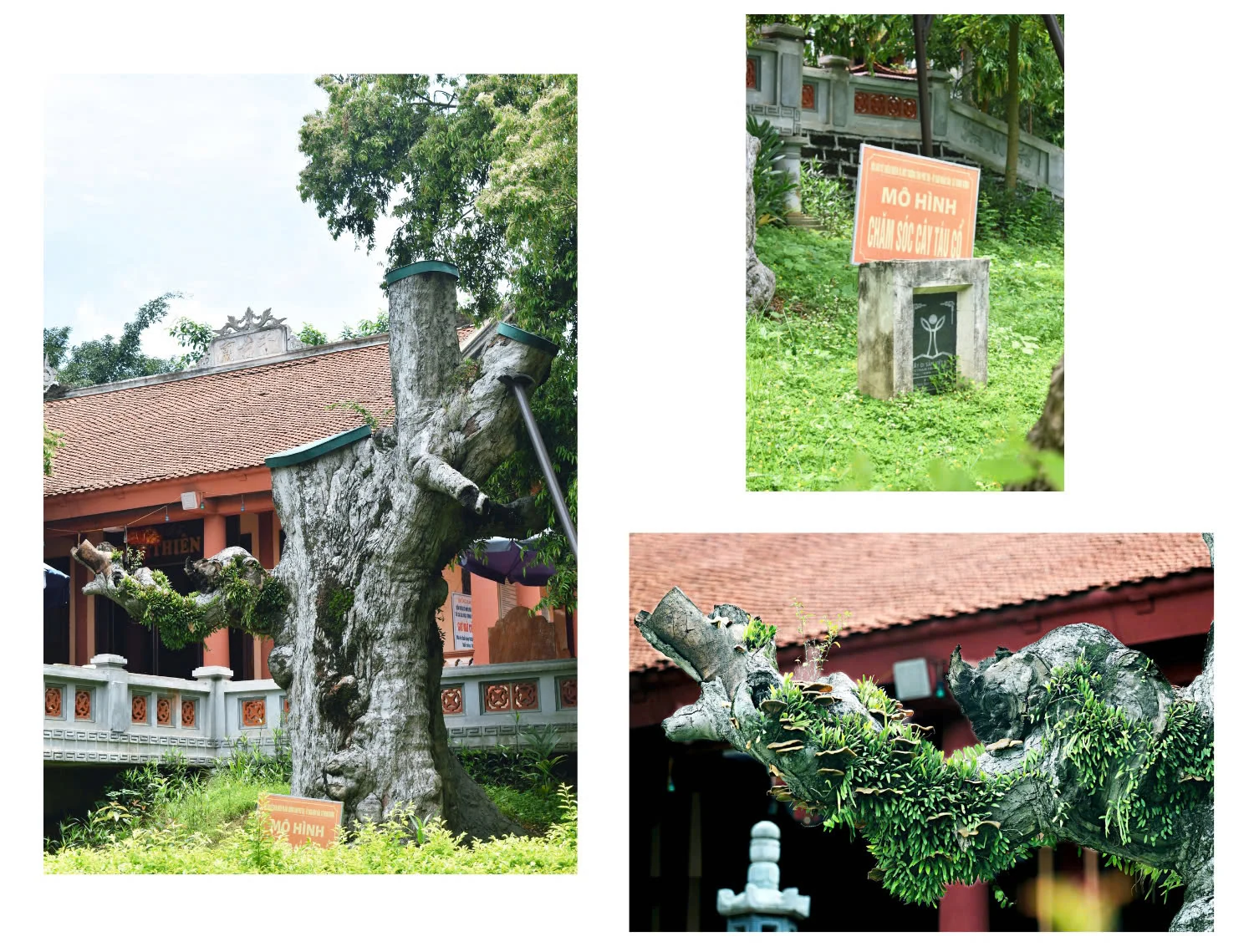 Kỳ II: Đã vinh danh phải... hữu danh!