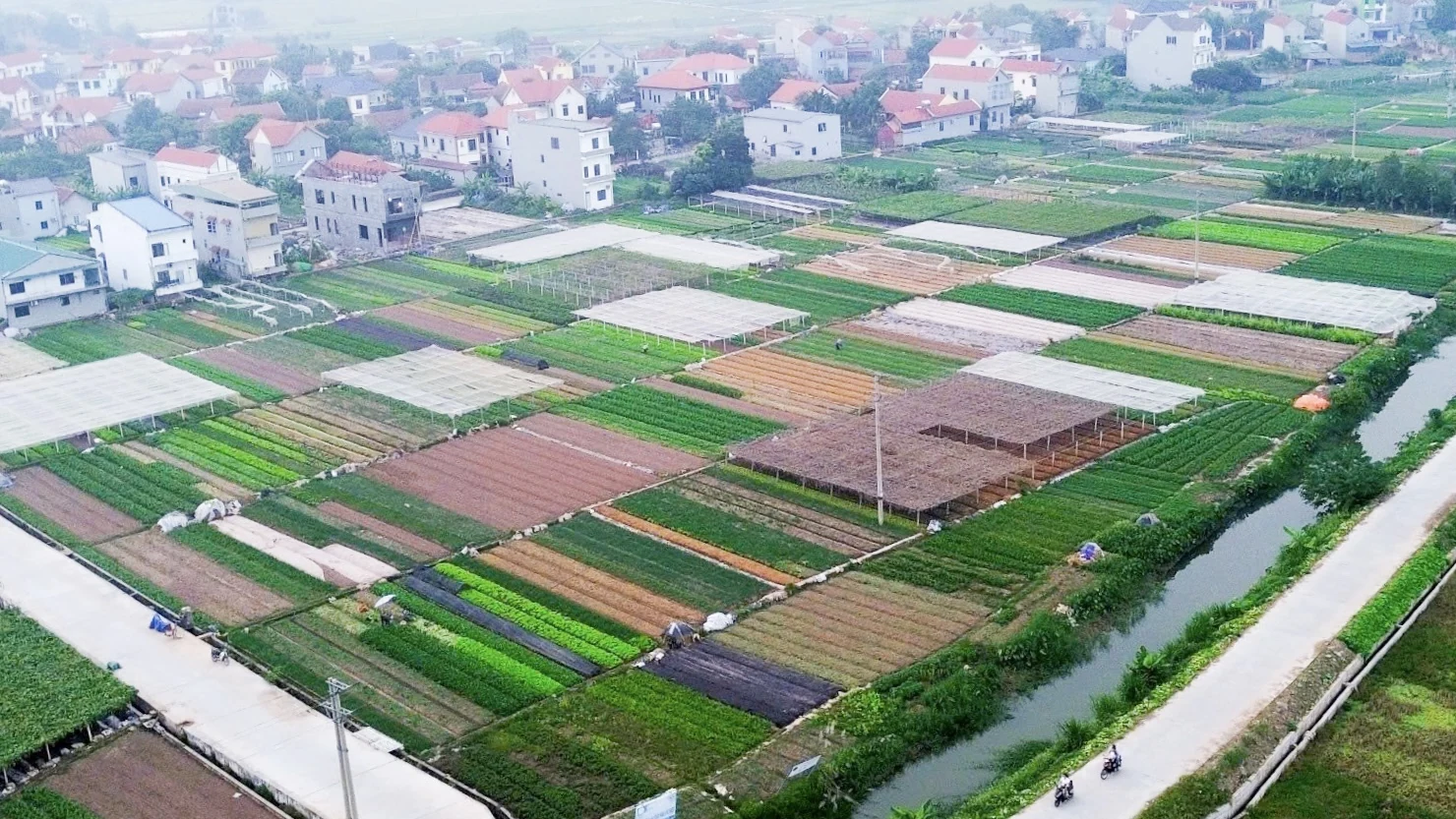 Sắc Xuân nông thôn mới