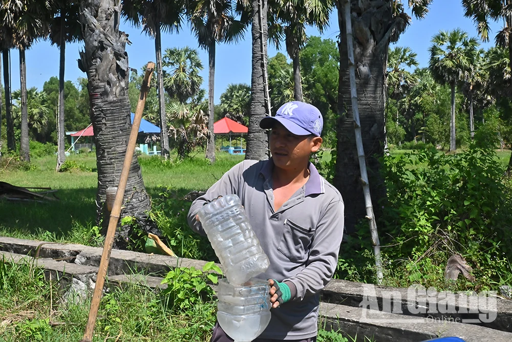 Rộn ràng mùa lấy mật thốt nốt