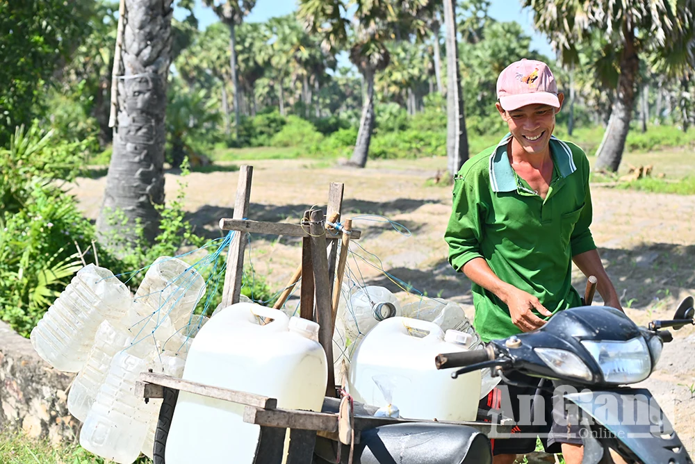 Rộn ràng mùa lấy mật thốt nốt