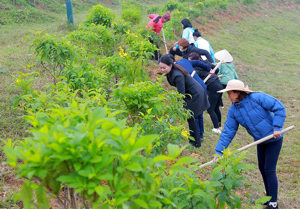 Chuẩn bị tốt các điều kiện cho Nhân dân trong tỉnh đón Tết Nguyên đán Ất Tỵ năm 2025