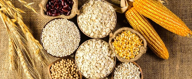 6 thực phẩm tốt nhất cho người bệnh viêm phổi