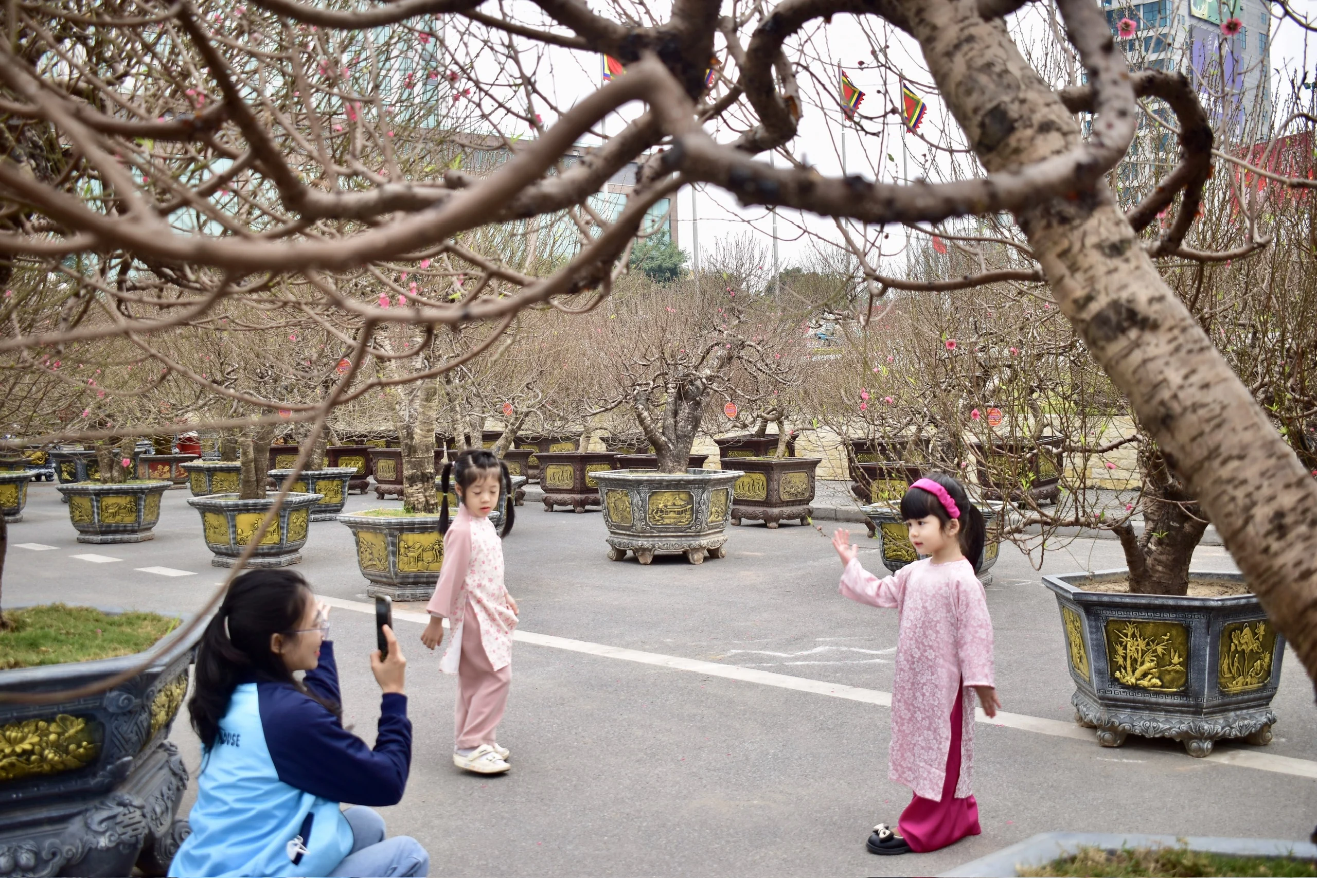 “Check-in” Tết sớm