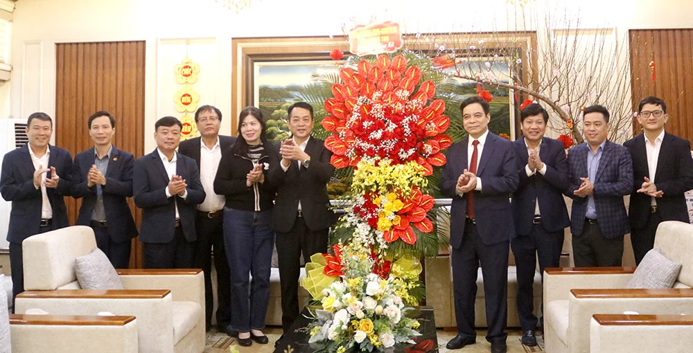 Phó Chủ tịch UBND tỉnh Nguyễn Thanh Hải thăm, chúc Tết Công ty Điện lực Phú Thọ