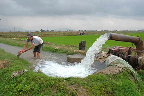 Sẵn sàng trữ nước phục vụ gieo cấy lúa vụ Đông Xuân 2024-2025