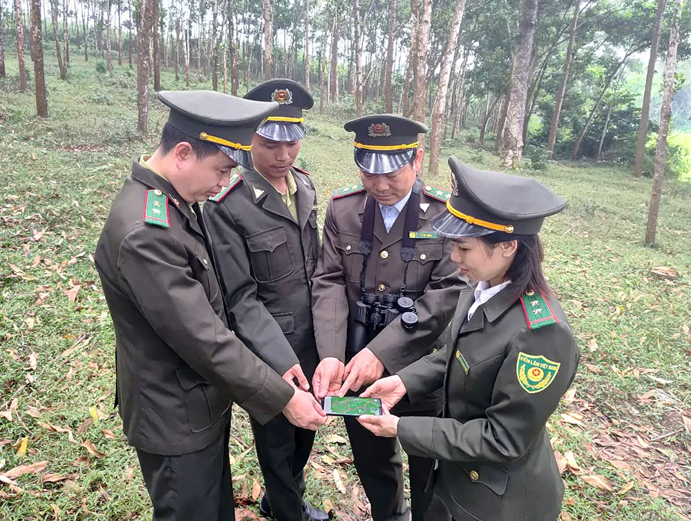 Bảo vệ rừng tận gốc