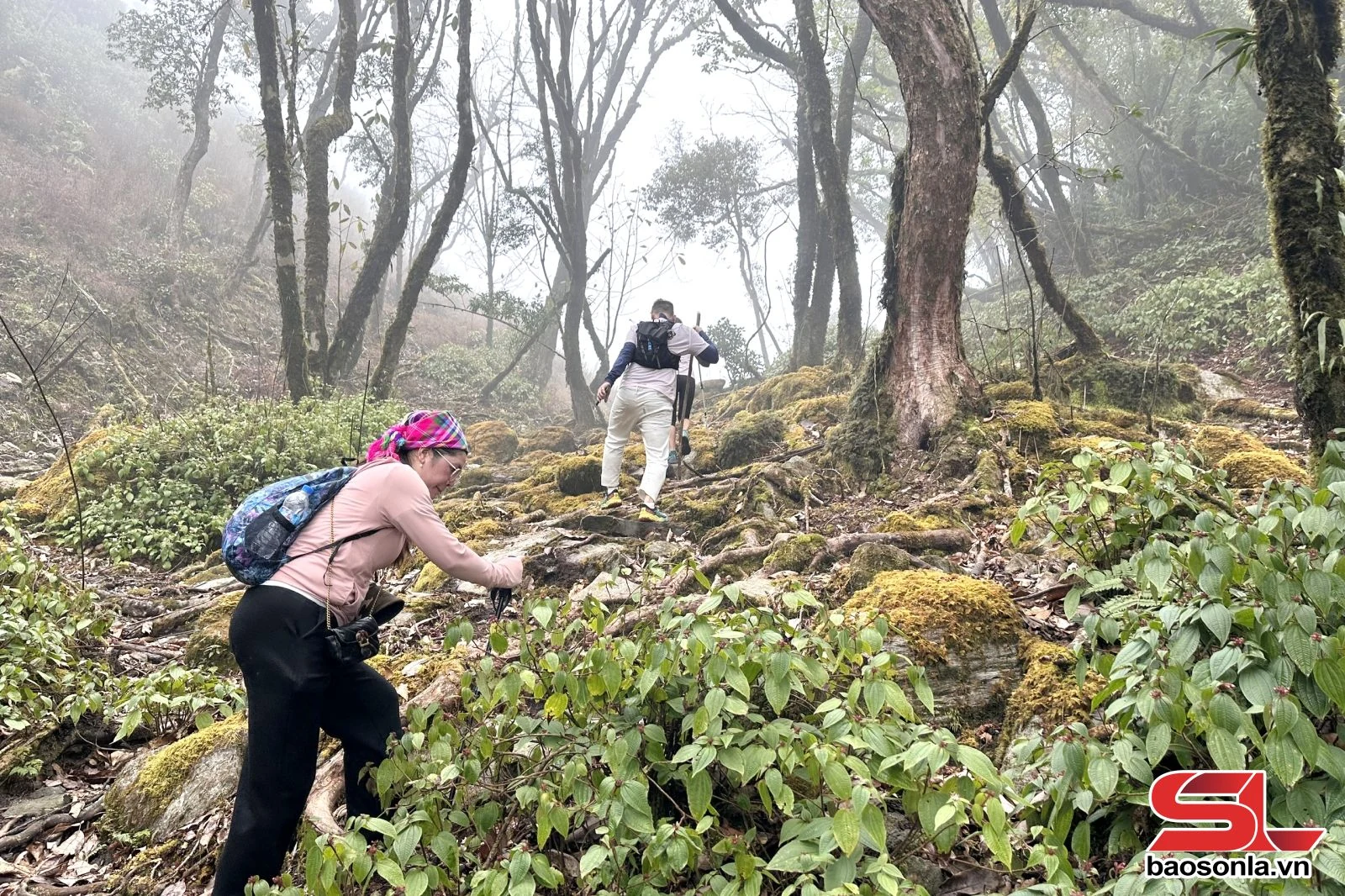 Chinh phục đỉnh Tà Tao