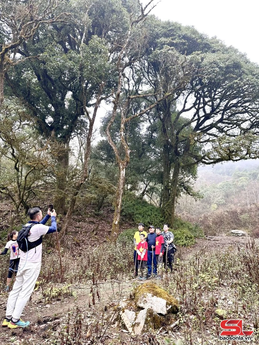 Chinh phục đỉnh Tà Tao