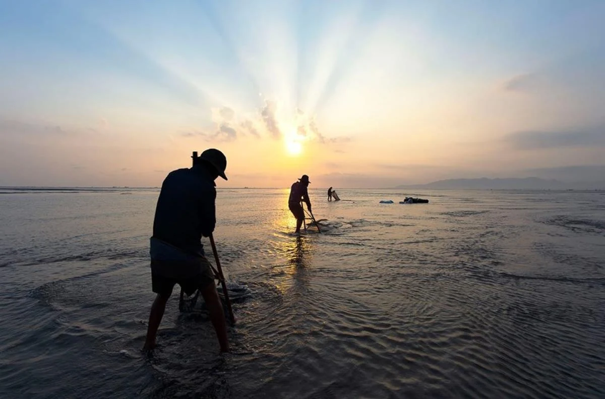 Mùa “lộc trời” xứ biển