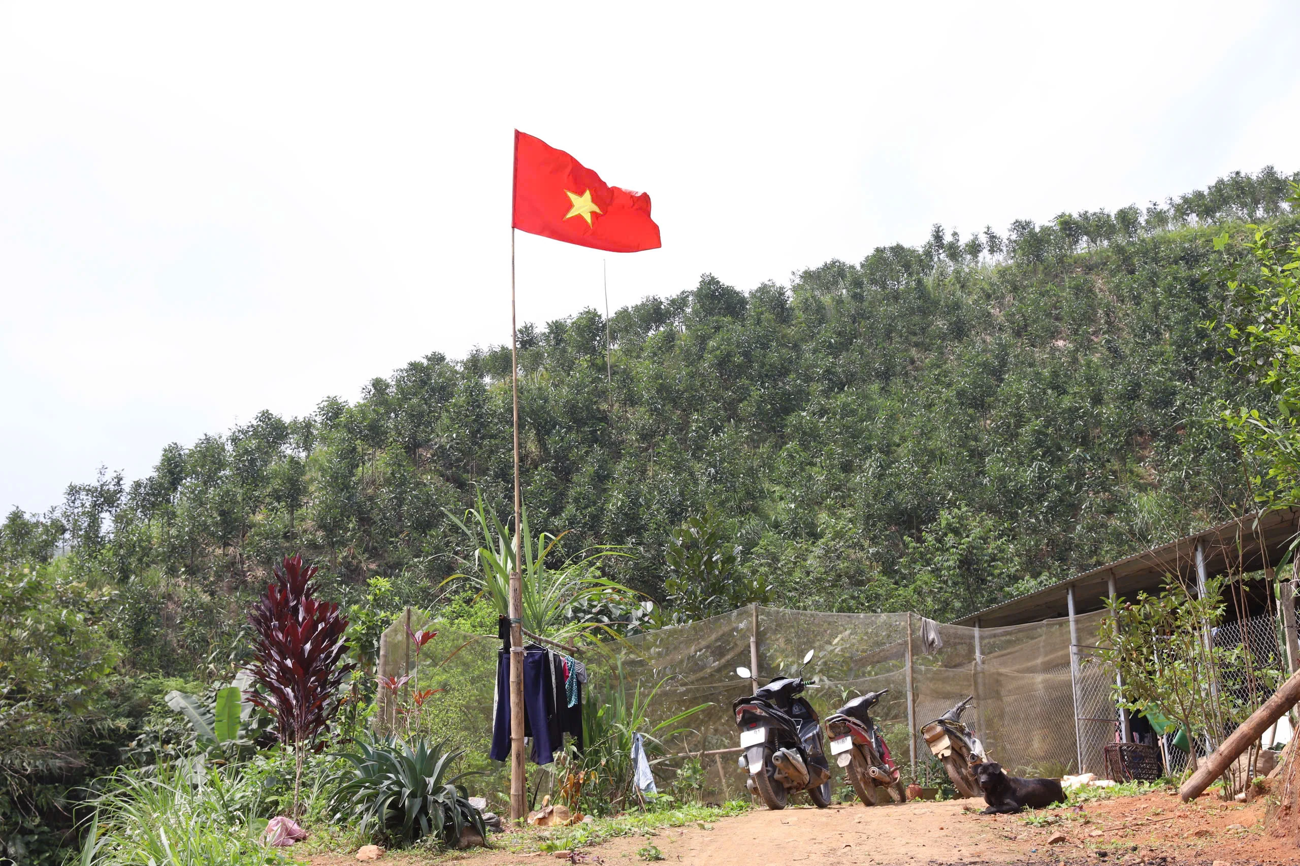 Kỳ 2: Những vỡ lẽ trong giải quyết xâm canh, xâm cư