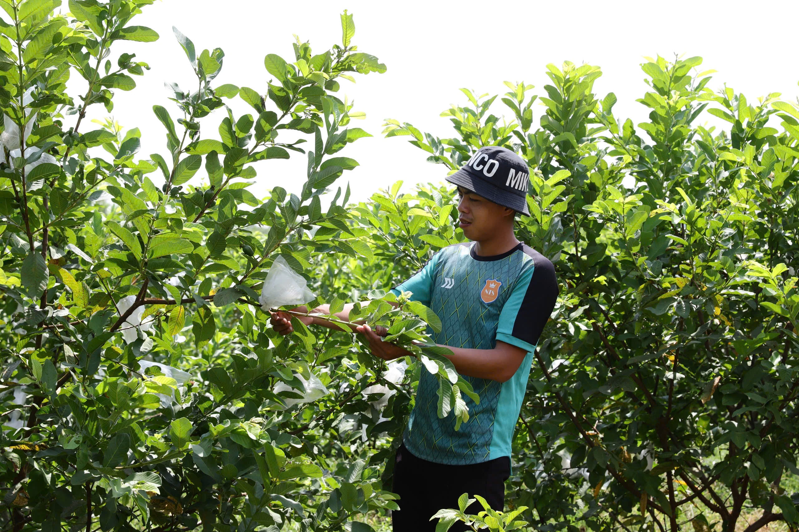 Kỳ 2: Những vỡ lẽ trong giải quyết xâm canh, xâm cư