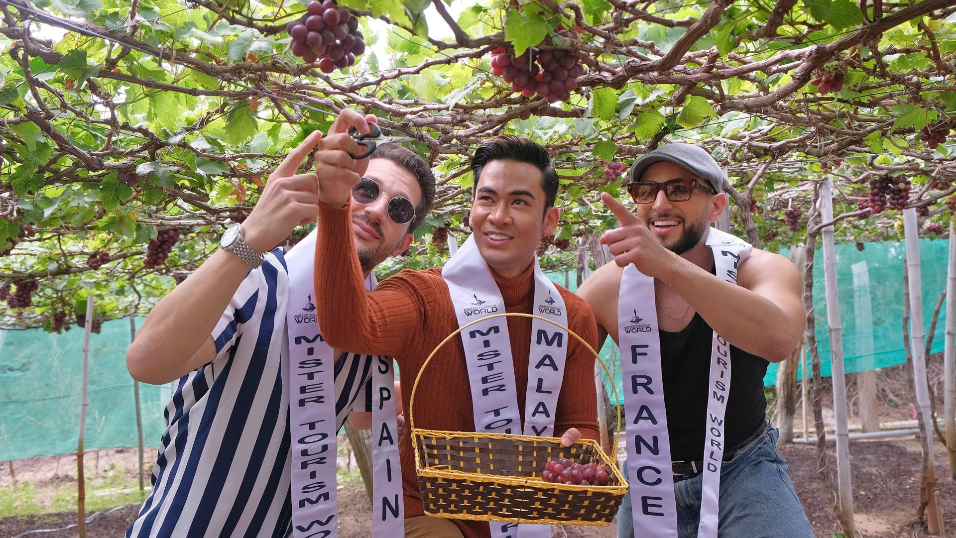 Làng nho Thái An - “Vườn Địa Đàng” giữa vùng nắng gió