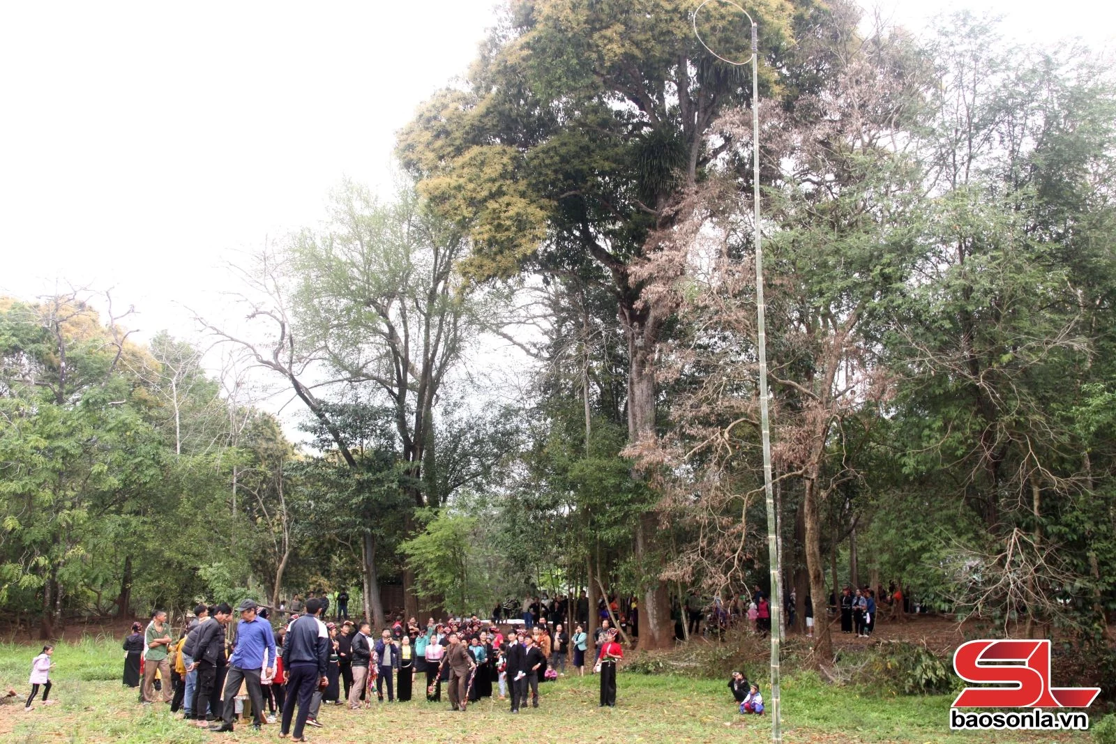 Cần có những giải pháp để khơi dậy tiềm năng du lịch Yên Châu