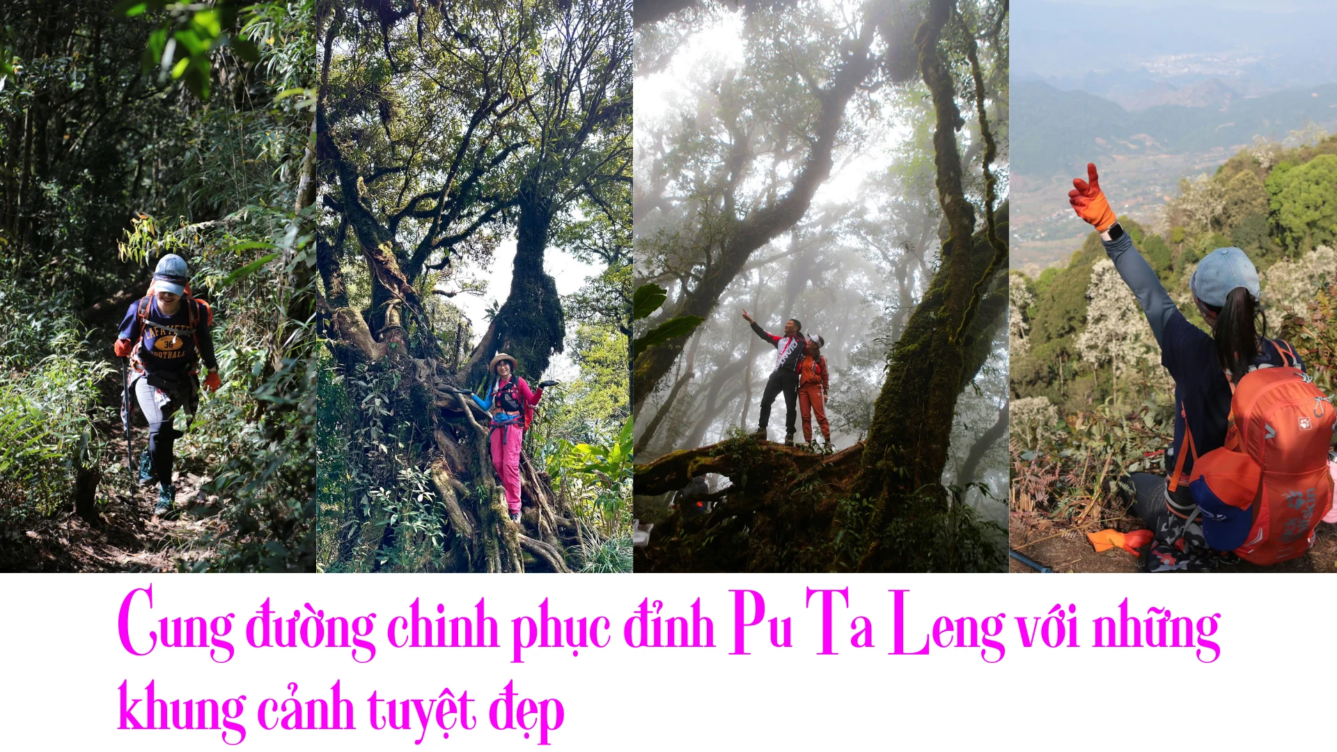 Trekking chinh phục đỉnh hoa Đỗ Quyên - Sản phẩm du lịch hấp dẫn ở Lai Châu
