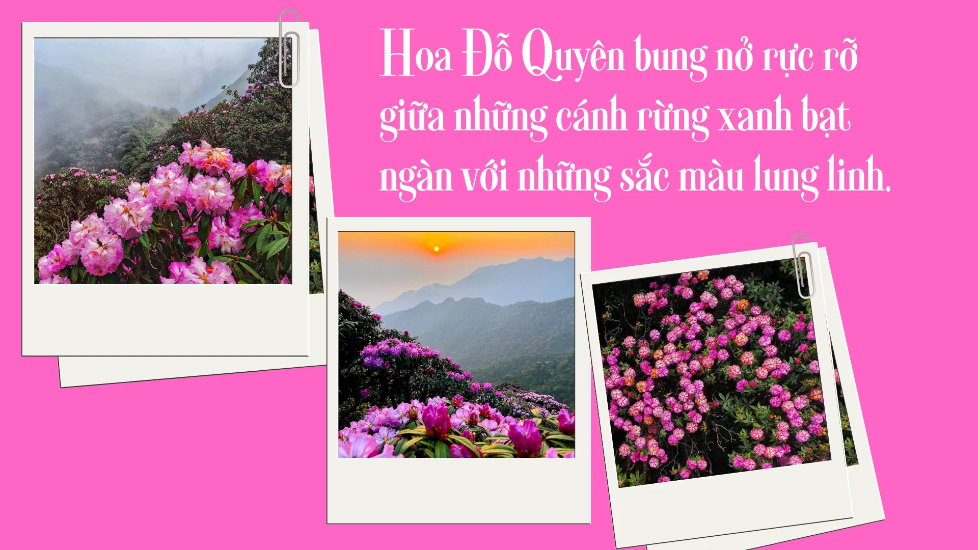 Trekking chinh phục đỉnh hoa Đỗ Quyên - Sản phẩm du lịch hấp dẫn ở Lai Châu