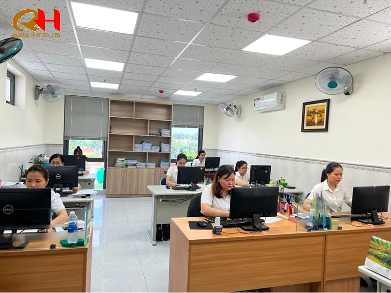 Dịch vụ thành lập công ty TNHH tại TP.HCM trọn gói tại Thuế Quang Huy