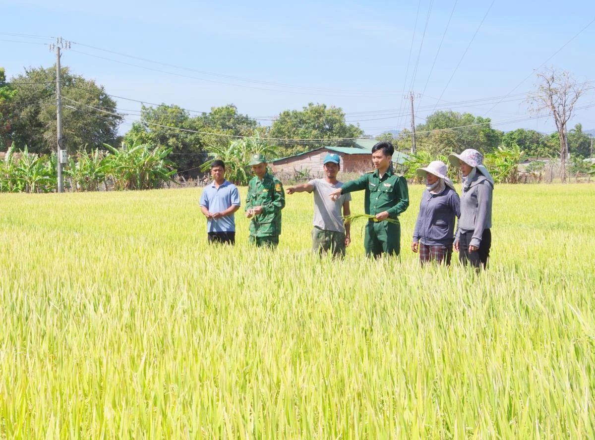 Thanh niên BĐBP xứng danh “Bộ đội Cụ Hồ”
