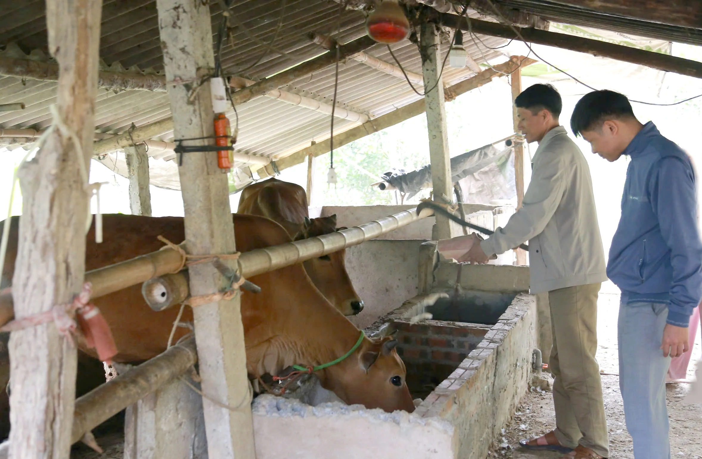 Tích cực hỗ trợ phát triển sản xuất, giúp người dân thoát nghèo