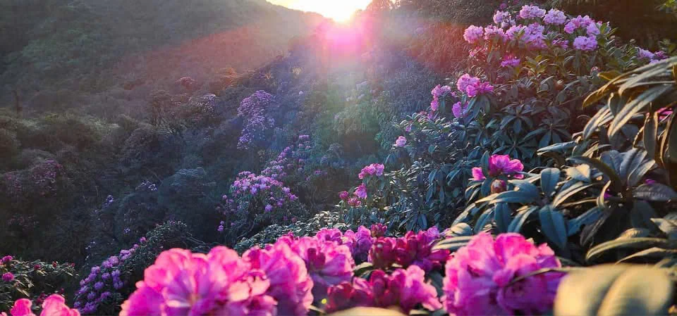 Hơn 100 phóng viên, nhà báo sẵn sàng chinh phục đỉnh Tà Xùa