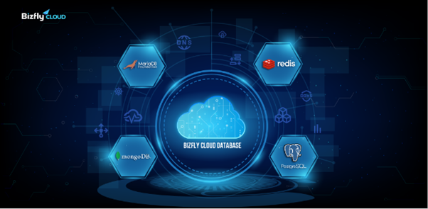 Giải pháp toàn diện với Bizfly Cloud Database - Tiết kiệm chi phí, tăng hiệu quả