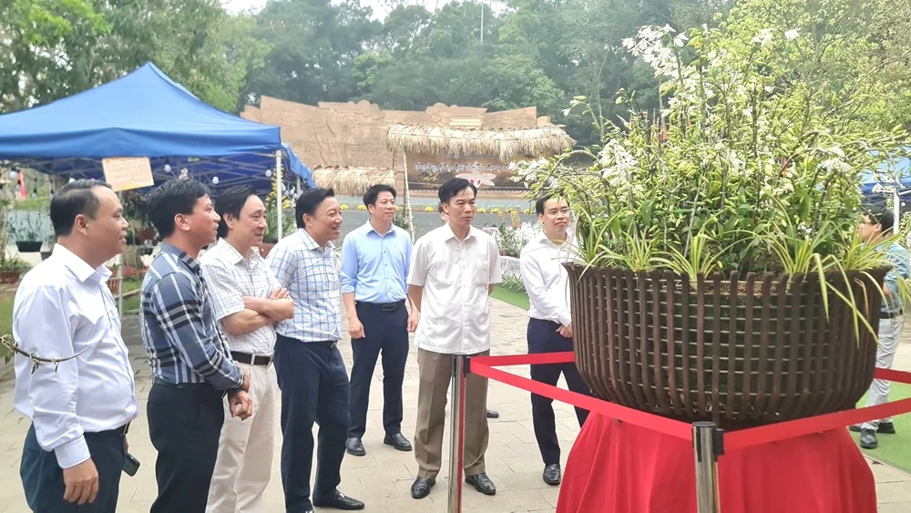 Phó Chủ tịch UBND tỉnh Nguyễn Huy Ngọc tham quan không gian trưng bày hoa lan nghệ thuật toàn quốc lần thứ II