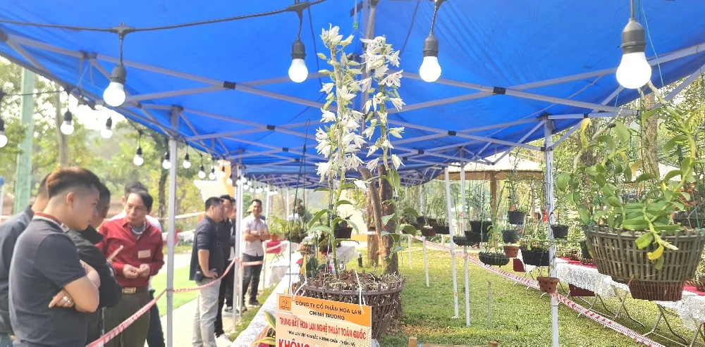 Phó Chủ tịch UBND tỉnh Nguyễn Huy Ngọc tham quan không gian trưng bày hoa lan nghệ thuật toàn quốc lần thứ II