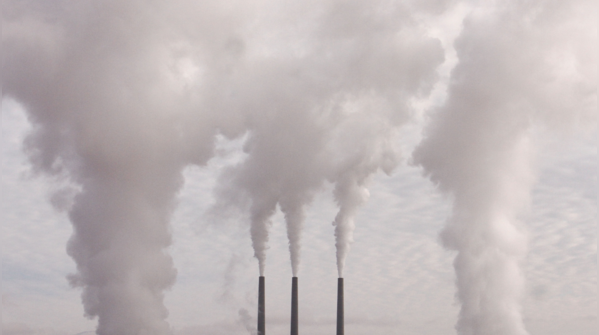 7 cách tự nhiên giúp làm sạch, thải độc phổi