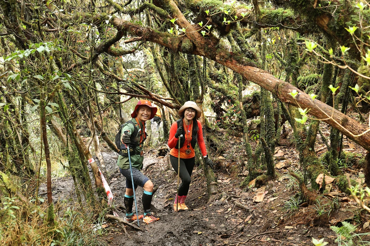 Hành trình “Bước chân trên mây” chinh phục đỉnh Tà Xùa