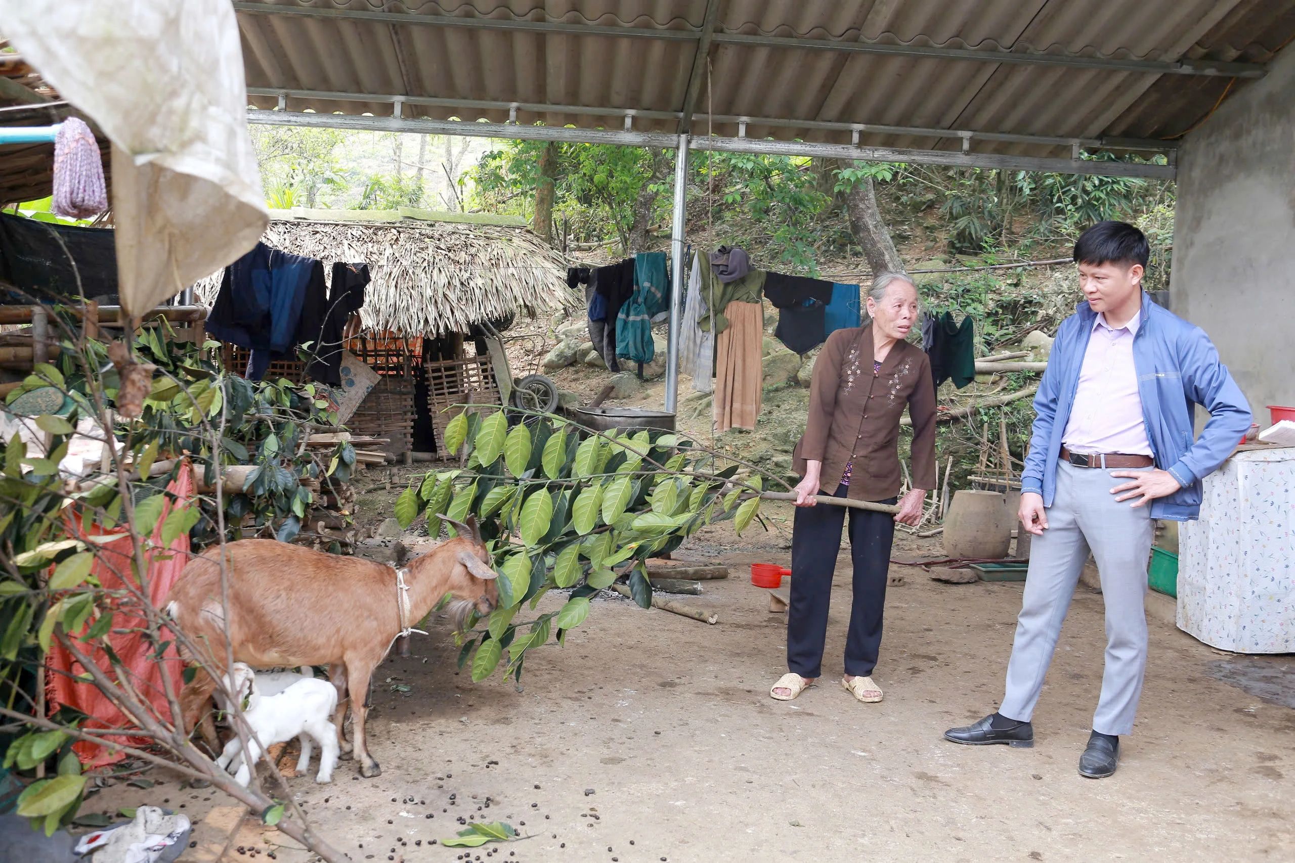Bản làng thay áo mới