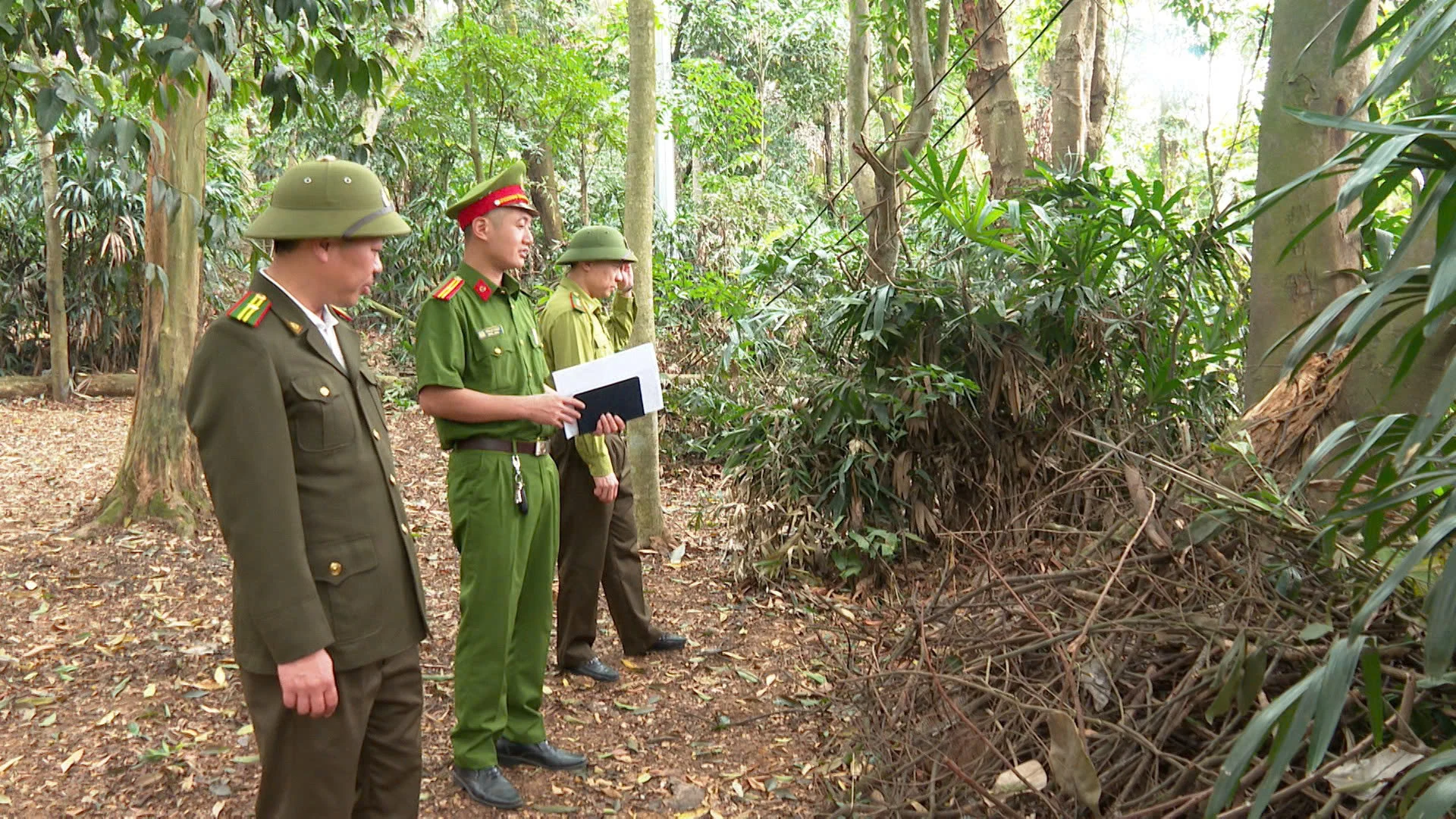 Tăng cường thực hiện các biện pháp phòng cháy, chữa cháy rừng