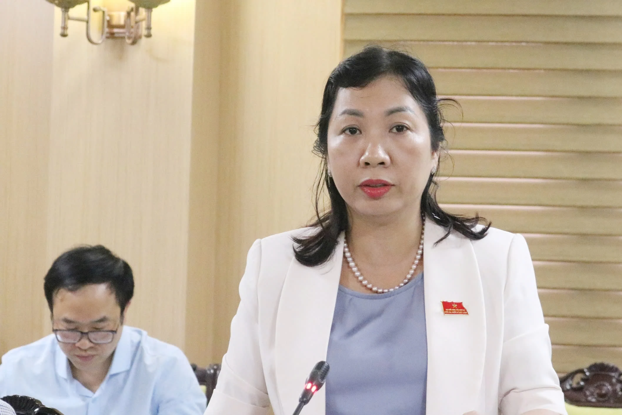 Ban Kinh tế - Ngân sách HĐND tỉnh thẩm tra dự thảo nghị quyết trình tại Kỳ họp chuyên đề thứ Chín, HĐND tỉnh