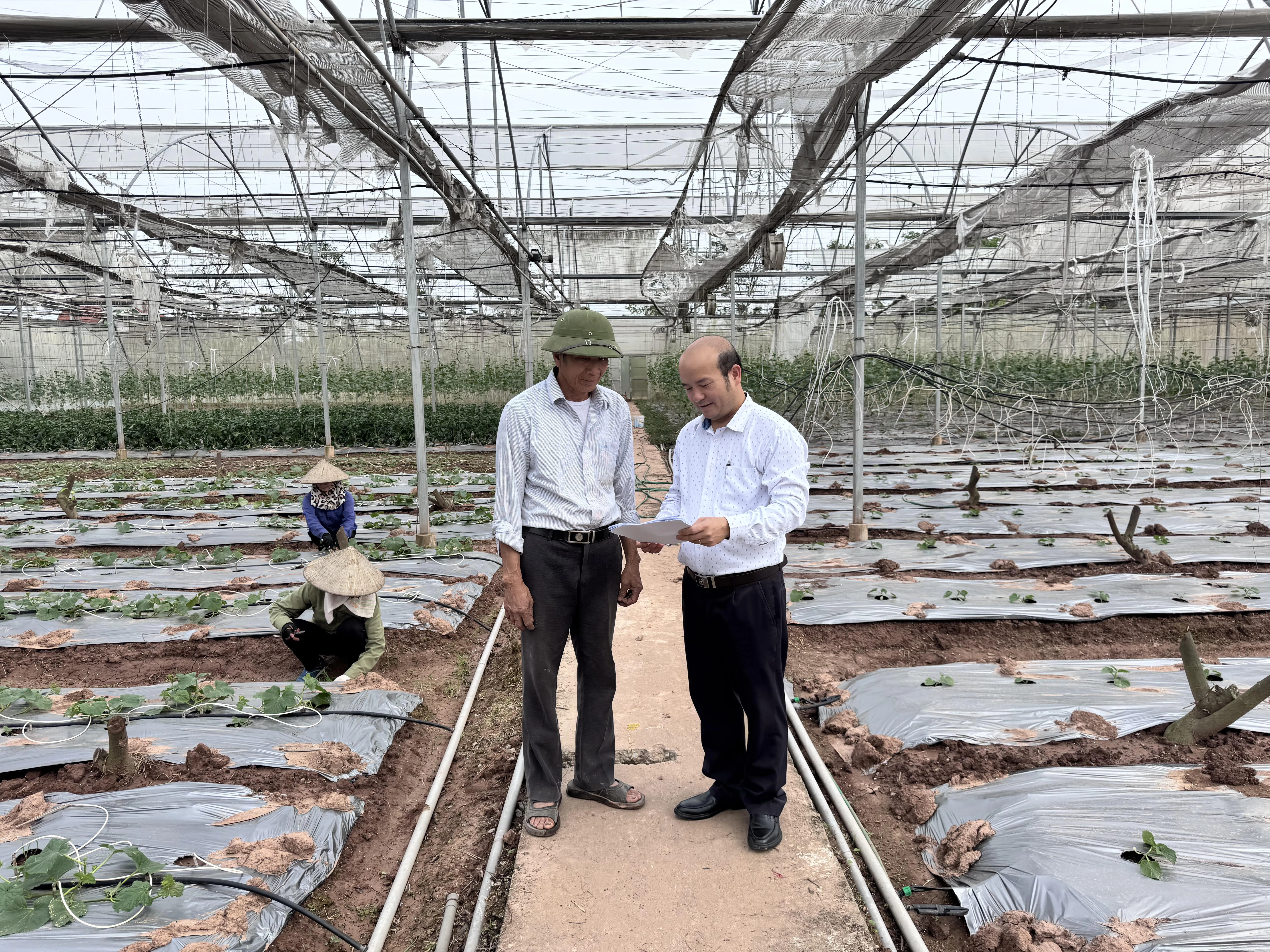 Tiếp sức cho nông nghiệp, nông thôn phát triển