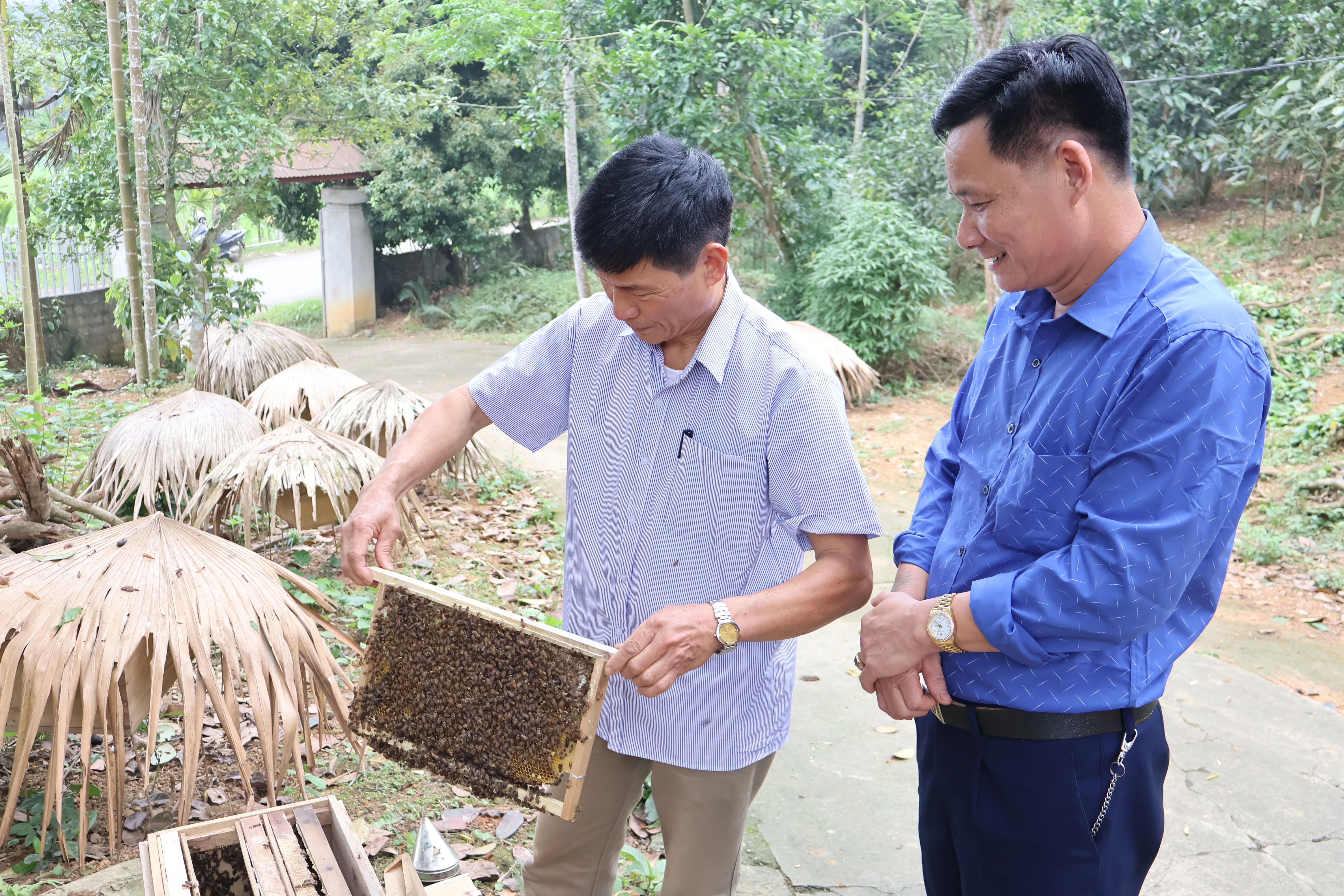 Mật ong Hương ngàn Đất Tổ
